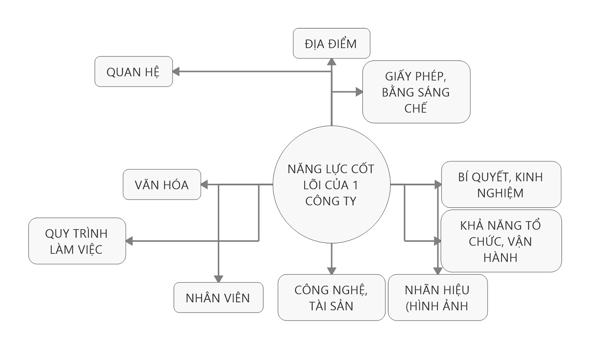 nang-luc-cot-loi-cua-mot-cong-ty-bao-gom-nhung-gi